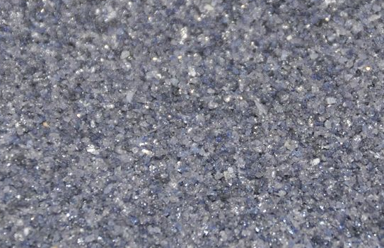 单蘑菇TV官网登录入口