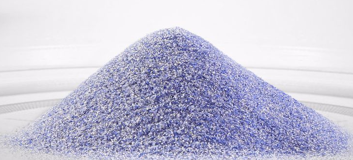 单蘑菇TV官网登录入口