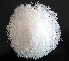 蘑菇视频APP下载 蘑菇视频APP下载