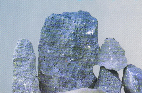 单蘑菇TV官网登录入口