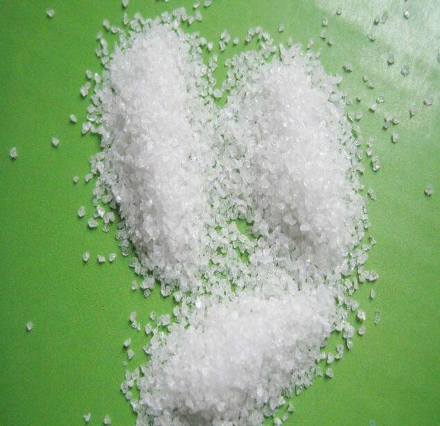 蘑菇视频APP下载厂家