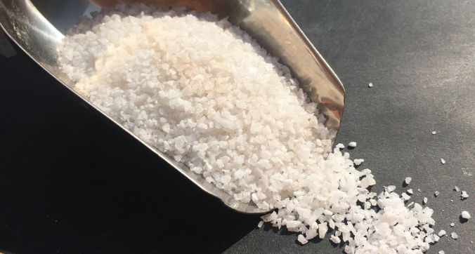 蘑菇视频APP下载 蘑菇视频APP下载